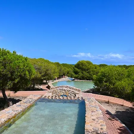 Apartment Penthouse Infinity